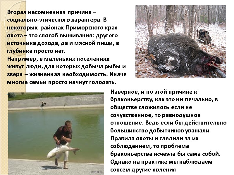 Вторая несомненная причина – социально-этического характера. В некоторых  районах Приморского края охота –